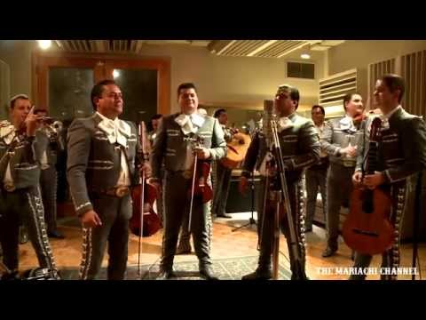 A MI MANERA | MARIACHI NUEVO TECALITLAN