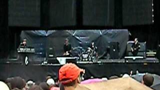 Taxidermy Live - White Lies - Lollapalooza