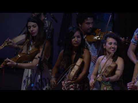 サビアザンド｜オーケストラ・オブ・テイルス・ブロック・オブ・ファイフ｜TEDxSaoPaulo (Sabiazando | Orquestra de Rabecas Bloco de Pífanos | TEDxSaoPaulo)