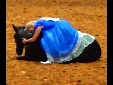 Mustang Magic 2017 Freestyle at Fort Worth Stock Show and Rodeo - All Finalists