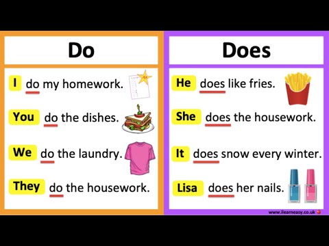 DO vs DOES ???? | What's the difference? | Learn with examples