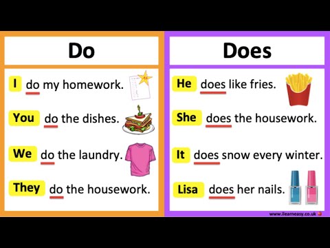 الفرق بين do و does