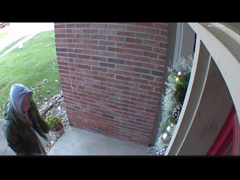 ‘Block her in! She’s stealing’ I Suspected porch pirate surprised by couple returning home