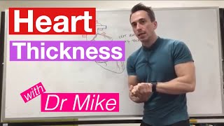 Myocardial Thickness | Cardiology