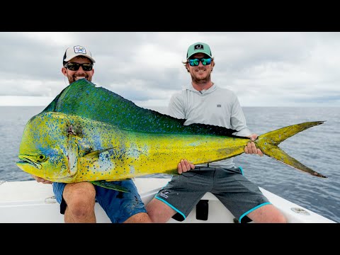 GIANT Dolphin and Dock Fishing in Panama