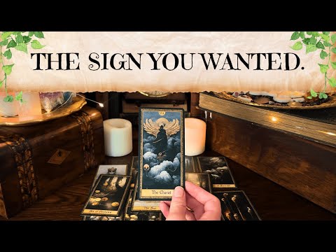 Watch this on Sep 27-28th. It's your sign. 🪽 | Tarot Reading
