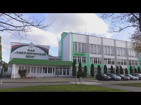 Эколагі пракаменціравалі сітуацыю з пажарам на Светлагорскім ЦКК видео