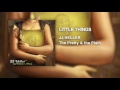 Little Things