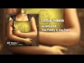 Little Things