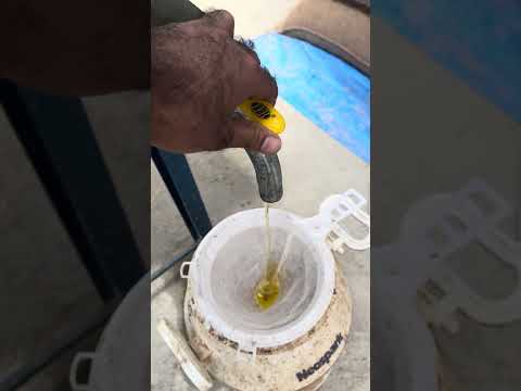 Event Video 5