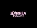Highly Suspect - Serotonia (Lyrics)