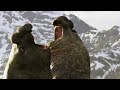 Battle Between Two Bull Elephant Seals 4K UHD Seven Worlds One Planet BBC Earth