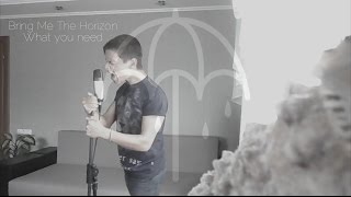 Bring Me The Horizon - What You Need (cover by Beyond The Sunset)
