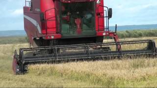 preview picture of video 'Laverda M304. Harvesting rise in Orellana la Vieja'