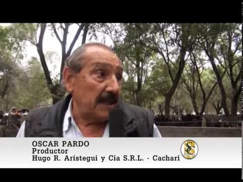 Nota a Oscar Pardo - Hugo R. Aristegui y Cia S.R.L. - Cachari