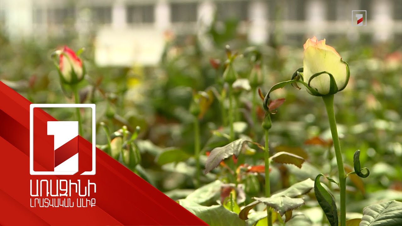 Ստուգումներ ծաղիկ արտահանող ջերմոցներում՝ ռուսական կողմի հետ համատեղ