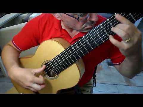 FLOR DAS AGUAS  -  Marco Pereira