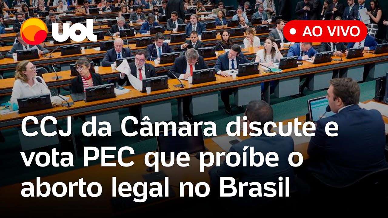 CCJ discute aborto legal e tem protesto contra PEC que proíbe aborto até em casos previstos em lei