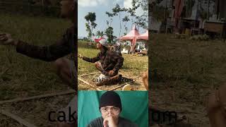 Download lagu Ketika pro player layangan menang sambitan pakai gelasan turnamen main uluran mp3