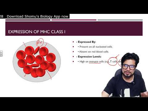 Inflammation animation Steps of inflammatory response Shomu s Biology