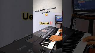 Download lagu Dangdut sampling korg pa600 mp3 Download lagu Dangdut sampling korg pa600 mp3