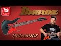 Электрогитара IBANEZ GRG250DX