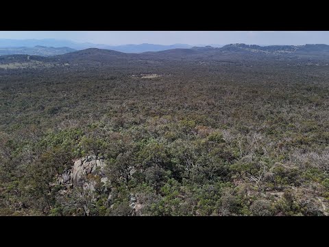 Lot 8 Binghi Road, Tenterfield, NSW 2372, 0 chambres, 0 salles de bain, Lifestyle Property