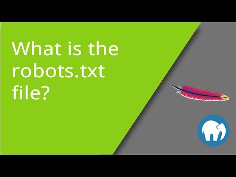 What is the robots txt File