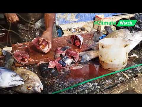 Illegal Fishing Destroys Lives | නීතිවිරෝධී මසුන් මැරීම | சட்டவிரோத மீன்பிடியால் பாதிப்பு