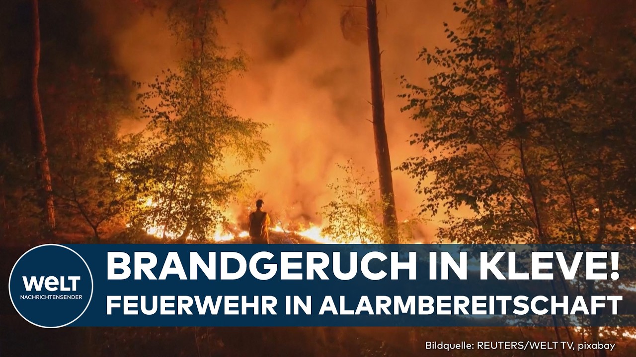NIEDERLANDE: Flammen rücken auf Deutschland zu! Waldbrand außer Kontrolle!