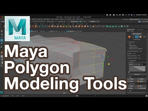 Maya Intro Polygon Modeling Tools for Beginners Tutorial