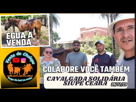 Vaqueiro Coloca Égua quarto de milha a venda +  Organização  Cavalgada Solidária Siupé Ceará