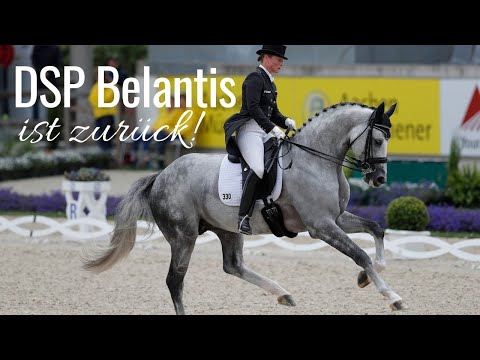 DSP Belantis ist zurück 😱 | Ganz schön hell geworden der Schimmel unter Isabell Werth 💕