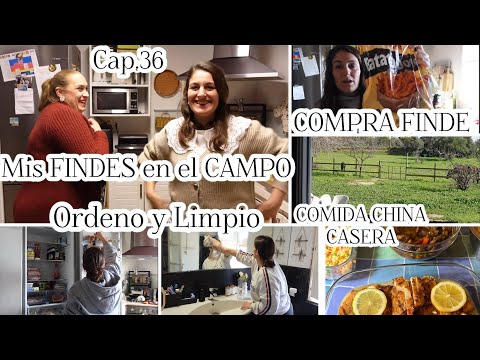 🏡Cap.36 FINDE COMPLETO🍀/Orden y Limpieza/MERCADONA/👩‍🍳Pollo AL LIMÓN y Ternera TERIYAQUI/UltenicU20