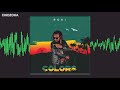 Roki Chidzoka Remix Audio Visual Ft Rayvanny