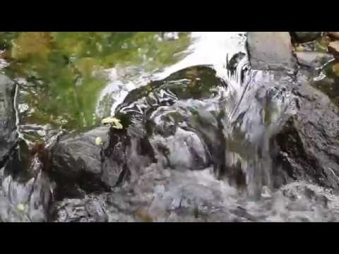 james gorczyca - spontaneity