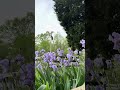 Across Five Aprils by Irene Hunt CH 2