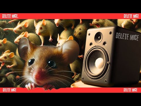 Odstraszacz Myszy, Kuny, Szczury - Ultradźwięki na Myszy