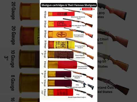 Shotgun cartridges & Their Famous Guns #shorts