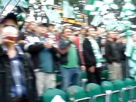 Bohemians 1905 - takhle my tu fandíme