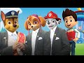 Paw Patrol Cover Meme 38