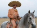 Mares De Tristeza Vicente Fernández