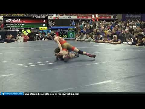 83 Lbs 1st Place Match - Liam Collins, Pinnacle Wrestling Club Vs Hayden Schwab, Immortal Athletic