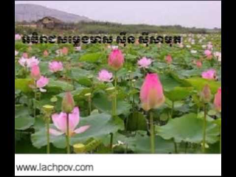 Ros sereysothea-ke sor mealea