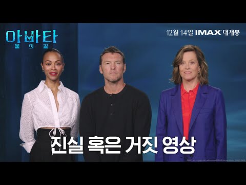 에 대한 진실 혹은 거짓 영상