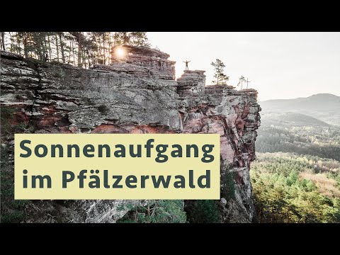 Bei Sonnenaufgang fotografieren im Pfälzerwald (Fototour Vlog)