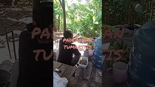 Download lagu PADEPOKAN TUMARITIS mp3 Download lagu PADEPOKAN TUMARITIS mp3