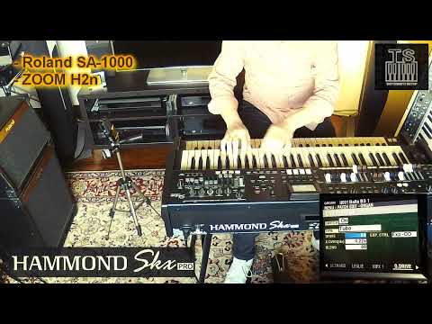 Hammond Skx PRO - very first "ROCK-oriented" taste @HammondB3tube  @luckymusicnetwork