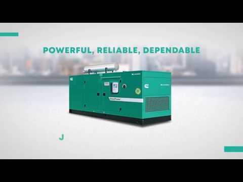 Cummins Jakson Diesel Genset  CPCB IV