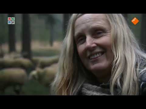 Joris' Showroom, met witte Papua, schaapherder Christien Mouw en Kapitein Marten Dek (ncrv 2014)